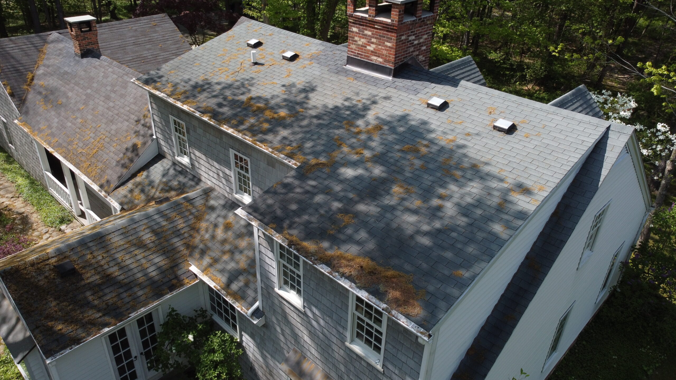 DCIM243MEDIADJI_0708.JPGType=N, Mode=P, DE=None roof with shade and tree debris on it from the trees above
