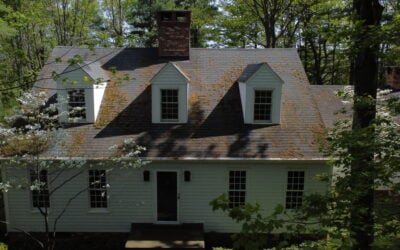 How Tree Branches Cause Moss to Grow on a Roof