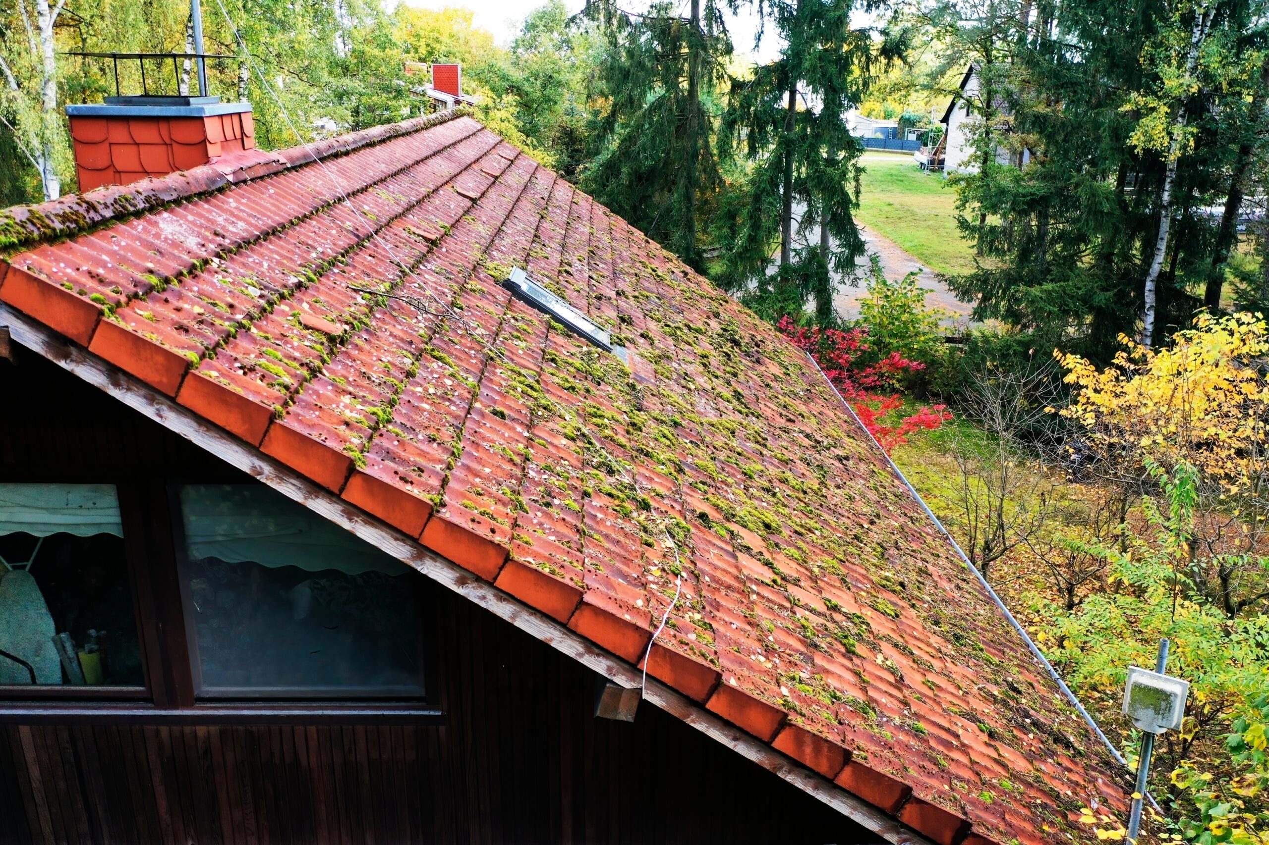 Drone,Is,Capturing,An,Aerial,View,Of,A,Mossy,Roof, roof with moss growing atop it