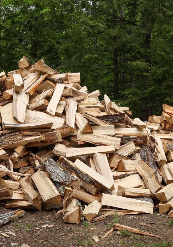 Large pile of chopped firewood in forest clearing A large pile of chopped firewood. The wood appears to be neatly cut and stacked.